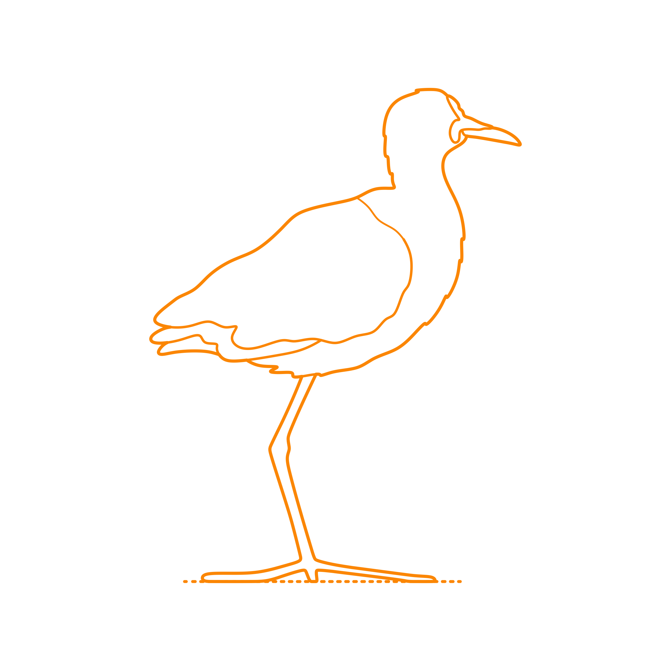 Animals Shorebirds Wattled Jacana Craft Design Svg File Free Vectors
